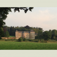 Midwives toads screaming at night in Belgiums countryside during the summer