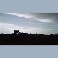 Thunderstorm, rain and hail on the mountain of the High Atlas, in Morocco