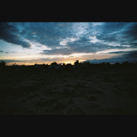 Toads and frogs are singing at night in the pond, in the center of the small village of Diafarabe.