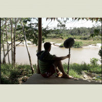 Frogs and toads are screaming at the edge of the river. (Gran Sabana, Venezuela)