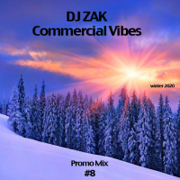 DJ Zak - Commercial Vibes #8