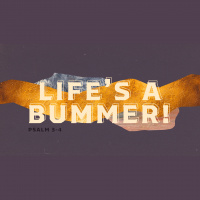 Life’s A Bummer!