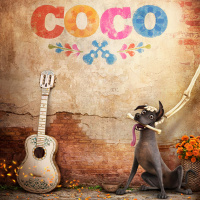 Episode 76 - Coco