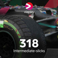 318. Intermediate-slicks