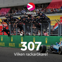 307. Vilken rackarökare!
