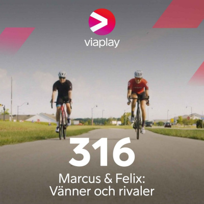 Viasat Motors F1-podd