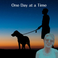 One Day at a Time: The Disappearance of Edith Pen Meyer