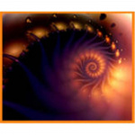 Wisdom Wide Open Radio