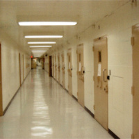 Jail House Pets Kept by Non-Serial Killers, Teenage Signs of Trouble Ahead from Vonda Pelto, Ph.D