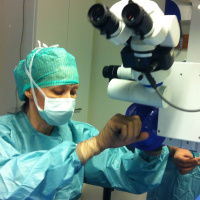 Aamun vieraalla leikkaa hyvin 