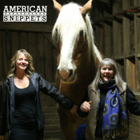 E032 - Lynda Roemers Equine Rescue Mission
