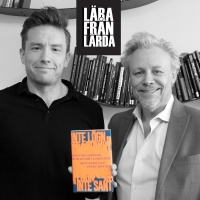 #163 Medielogik med Staffan Dopping