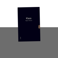 Sommarspecial: Insikter om klass med Magnus Hörnqvist