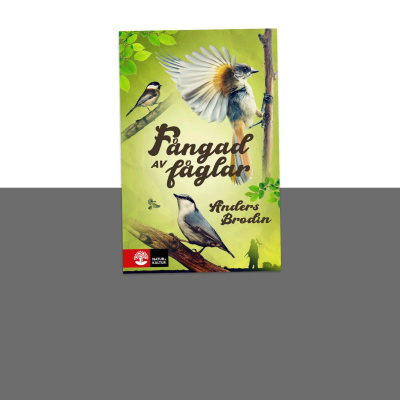 Lära Från Lärda - En Bok, En Författare