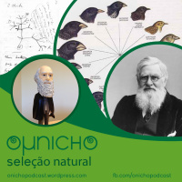 Episódio 17 - O Micronicho: Seleção Natural