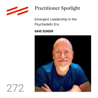 Dave Schoof - Practitioner Spotlight: Emergent Leadership in the Psychedelic Era