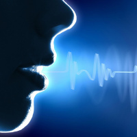 Voice Modulation