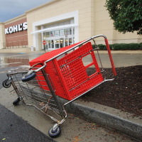 Shopping Cart Ethics