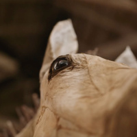 Commodity: Gin Stone Installation