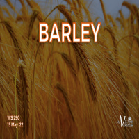 Episode 702: BARLEY | WS#290 | May 15th, 2022 | Victory Church