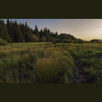 Pastor Kimi Hill - 12-8-19 - Be Still and Know That I am God - Dwell in the Secret Place