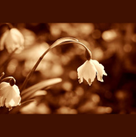 Pastor Kevin Hill - 7-28-19 Frustrating Grace