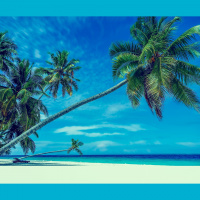 Pastor Kevin Hill - 4-14-19 Palm Sunday