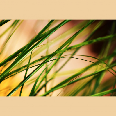 Central Christian Church ~ Hilo, Hawaii