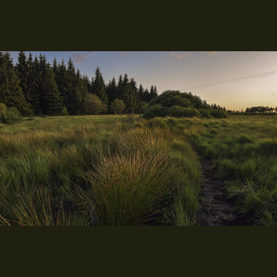 Central Christian Church ~ Hilo, Hawaii
