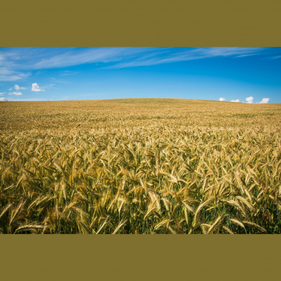 Central Christian Church ~ Hilo, Hawaii