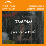 Radiolacan.com | Reseña De La Conferencia Pública Traumas, ¿realidad O Real? A Cargo De Graciela Brodsky En La Unive