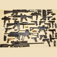 OA161: Gun Control  the Constitution