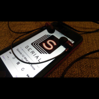 OA719: Serials Adnan Syed  the Elected Prosecutor: A Match Made in Baltimore