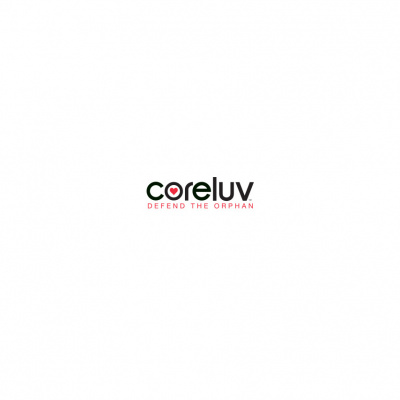 Harvest Bible Rochester