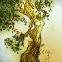 30segSalud entrena con 3 aceites para lubricar musculos