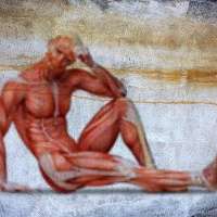 20segSalud No todas las proteinas son buenas para entrenar