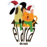 De Todo y Hasta El Arca de Noé.