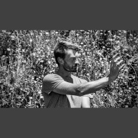 Despidiendo el desorden