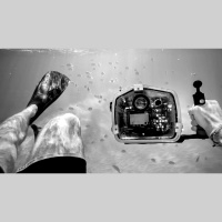 Introspectivo la visión de un hombre