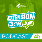 Extensión 3:16