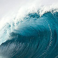 All vårens galenskap i säsongens sista Nya Vågen