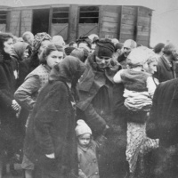 Whos Right Rectal Reckoning Fan Service Uncut Holocaust With uGeneration  Anthony