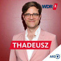 Bodo Wartke, Klavierkabarettist