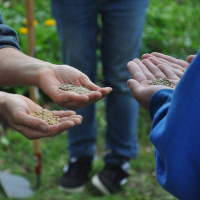 Episode 461 Ian Toews - Ageless Gardens