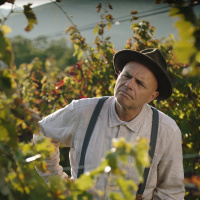 Wine, Epiphany, Trust amp Simplicity