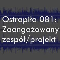 Zaangażowany zespół/projekt