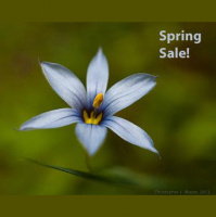 Flow English Spring 2014 Super-Pack Sale!