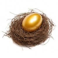 Nest Egg