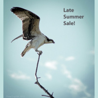 Flow English Original and Advanced Lessons