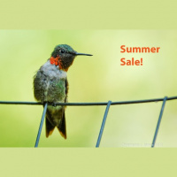 Super Pack Lesson Summer Sale 2015!